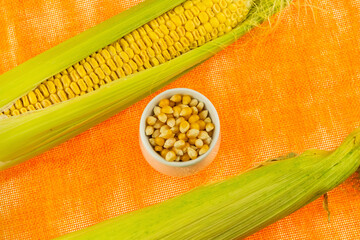 Wall Mural - pair of green corn pods with dried golden grains in a white bowl