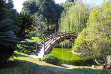A Gorgeous Shot Of A High Arching Wooden Bridge Over A Deep Green Lake With Lush Green Trees And Green Grass Blue Sky And Clouds At Huntington Library And Botanical Gardens In San Marino, California