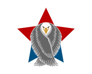 Wall Mural - flying eagle in the american star