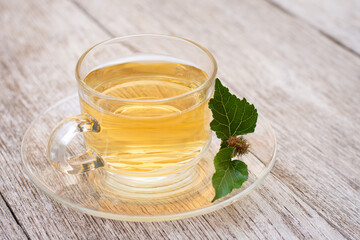 Glass cup of mulberry leaf tea 