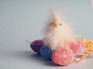 fluffy funny chicken chicken next to the shell, happy easter, minimalism, copy space