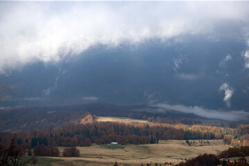 Wall Mural - Foggy forest background in autumn