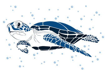 graphic sea turtle,vector illustration of sea turtle,vector of turtle design on a white background,save a turtle.