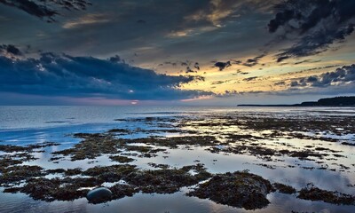 The shallow coast with cobbles covered with grass in the foreground of the White Sea  against cloudy sky during sunset in Russia.