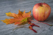 Jabłko i liść klonu, kompozycja na szarym tle