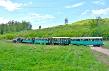 Sticker - SOVATA, ROMANIA - Sep 19, 2019: The narrow gauge train with tourists from Sovata resort - Romania