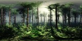 Fototapeta  - Forest in the fog, HDRI, environment map , Round panorama, spherical panorama, equidistant projection, 360 high resolution panorama