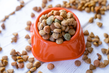 Poster - Fresh and natural dry pet food in a orange plastic bowl