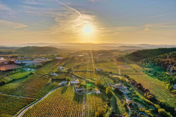 Sticker - Aerial view of the Penedes vineyards in Barcelona