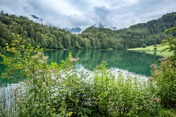 Wall Mural - Am Alatsee im Allgäu