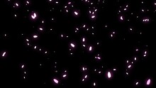 Cherry Blossom Particle Animation 