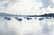 © Bearhunter/Wirestock - AUCKLAND, NEW ZEALAND - Jun 01, 2019: View of sail boats at Tamaki River with Rangitoto volcano in background