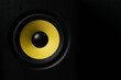 Głośnik żółto-czarny