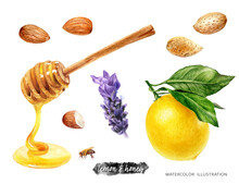 Lemons And Honey Dipper Lavender Almonds Food Set Watercolor Illustration Isolated On White Background