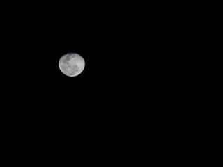 Wall Mural - Almost full moon over night sky