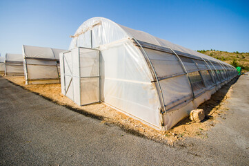 Wall Mural - Greenhouse under blue sky in Valencia, Spain