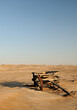 © Gerrit Rautenbach - A forgotten ox wagon rusting away in the Namib desert long after the diamond diggers left