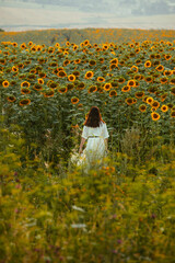 Wall Mural - young woman in sundress walking by sunflowers field on sunset