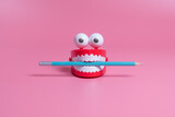 Fototapeta  - A plastic toy in the form of red jaws with white teeth and eyes holds a pencil between its teeth. Copywriting concept