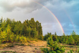 Fototapeta Tęcza - Rainbow over the forest . Summer landscape. Leningrad region .