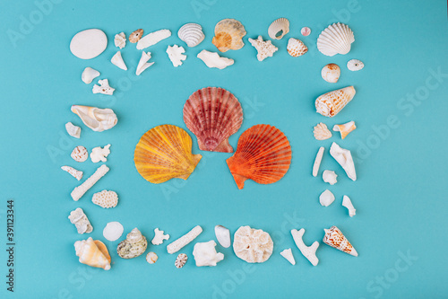 Fotografía Seashells, corals, conches lying on the blue background, isolated with a caption for text