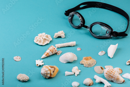 Fotografía Seashells, corals, conches lying on the blue background, isolated with a caption for text