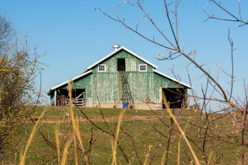 Wall Mural - Vintage Green Barn
