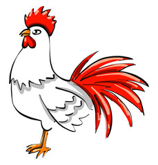 Wall Mural - White hen ,illustration,vector on white background