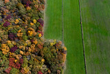 Fototapeta Pomosty - Aerial Drone Photo Looking Down on an Autumn Forest with Multi Colored Fall Trees in the Midwest_20