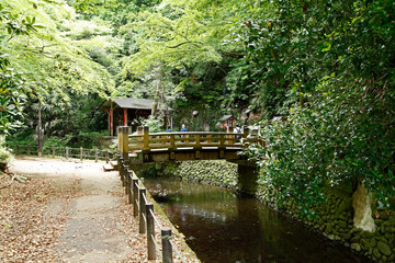 Canvas Print - 利剣の橋（等々力渓谷：世田谷区）