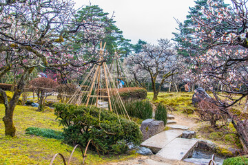 Canvas Print - 兼六園