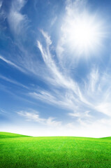 Wall Mural - green grass field and blue sky