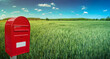Big red modern postbox with white empty note space for address is standing outdoor in front of beautiful countryside landscape background with farm green wheat field and blue sky.