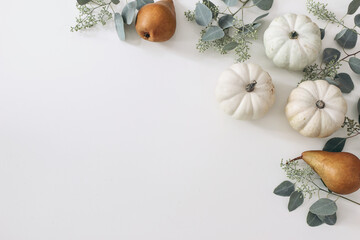 Autumn harvest frame, web banner. Pear fruit and white pumpkins isolated on white table background. Fall, Thanksgiving pattern. Flat lay, top view. Garden crop.