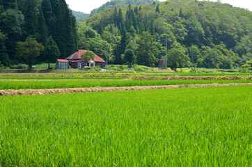 Sticker - 田園風景