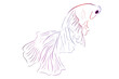 Simple Outline Vector Betta or siamese fighting fish, Giant Half Moon, on White background
