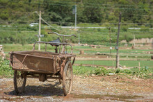 Rusty Tricycle, A Bicycle With Three Wheels, Parking Outdoors In A Field