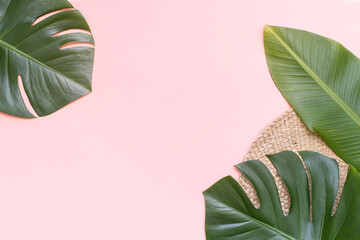 Tropical background with palm monstera leaves on pink.