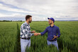 © Zoran Zeremski - Two farmers making agreement with handshake in green wheat field.