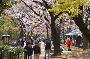 Sticker - 桜の名所飛鳥山公園でお花見