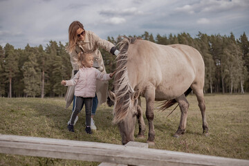 A young family have a fun in the field. Woman and child with a horse in national park. Mother with daughter pet a horse.