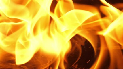 Wall Mural - slow motion speed close up scene on burning matchstick dropping on grunge floor that soak with oil, 