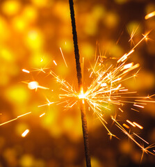 Wall Mural - Bright photo of sparkler new year and christmas