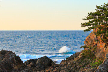 Canvas Print - 岡崎海岸　弁天島