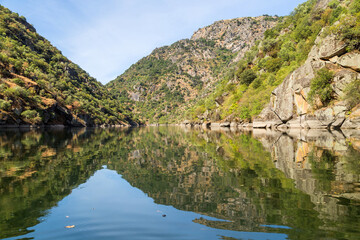 Wall Mural - Scenic view of the Douro Valley and river