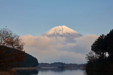 Poster - 田貫湖からの富士山