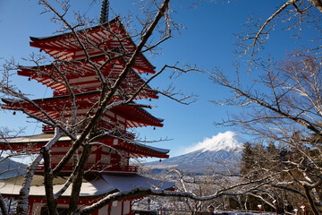 Wall Mural - 新倉山浅間公園忠霊塔と富士山