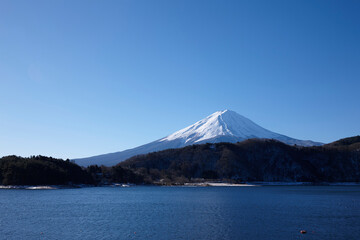 Wall Mural - 河口湖から望む富士山