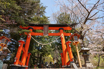 Wall Mural - 新倉山浅間神社の大鳥居