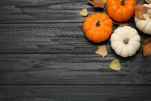 Fresh Ripe Pumpkins And Autumn Leaves On Black Wooden Table, Flat Lay. Space For Text